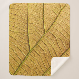 Cobertor Sherpa Golden yellow leaf pattern in the morning.