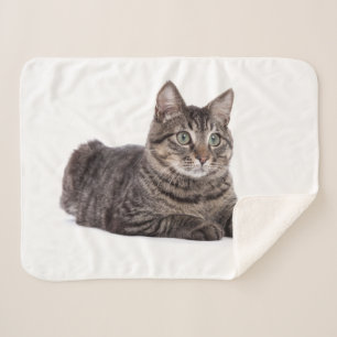 Cobertor Sherpa Gray Tabby Cat
