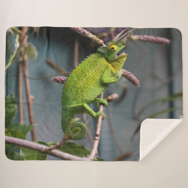 COBERTOR SHERPA GREEN LIZARD (Frente (Horizontal))
