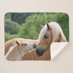 Cobertor Sherpa Haflinger Cute Hores Foto e Mãe Beijo Cudling