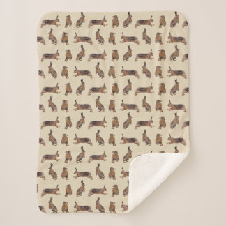 Cobertor Sherpa Hare Frenzy (Creme)
