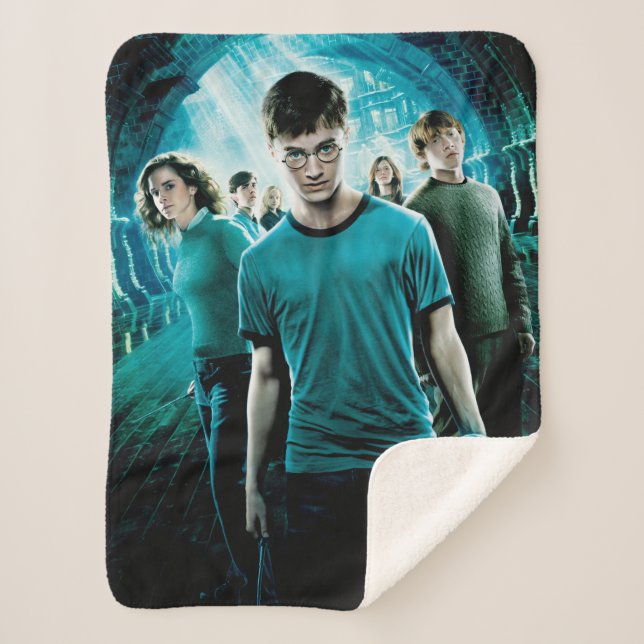 Cobertor Sherpa HARRY POTTER E A ORDEM DO PHOENIX™ Blue (Frente)
