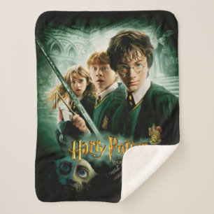 Cobertor Sherpa Harry Potter Ron Hermione Dobby Foto do Grupo