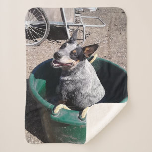 Cobertor Sherpa Heeler azul