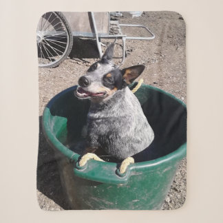 Cobertor Sherpa Heeler azul