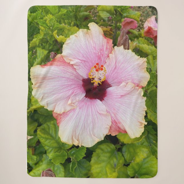 Cobertor Sherpa Hibiscus Fotografia em Aberto (Frente)