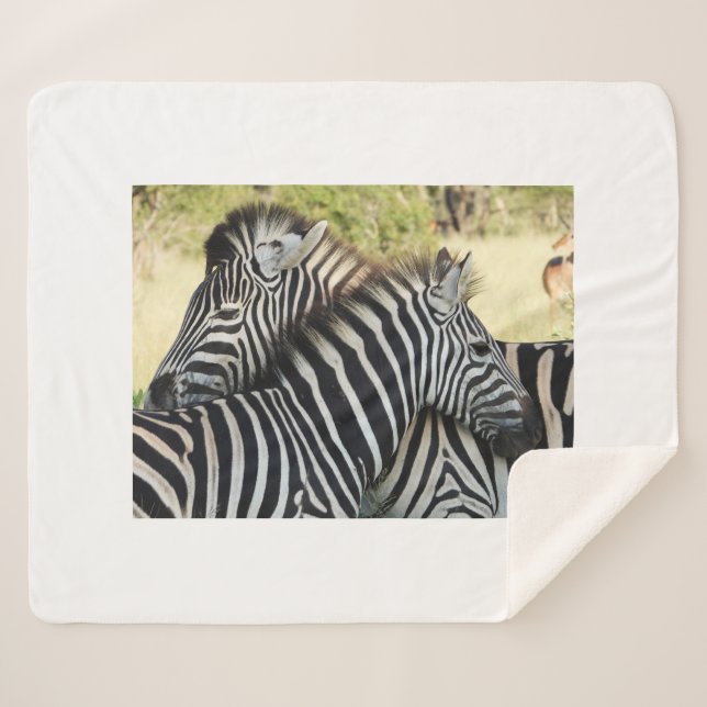 Cobertor Sherpa Hug (Frente (Horizontal))