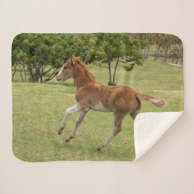 Cobertor Sherpa Ilha páscoa Rapa Nui (Frente (Horizontal))