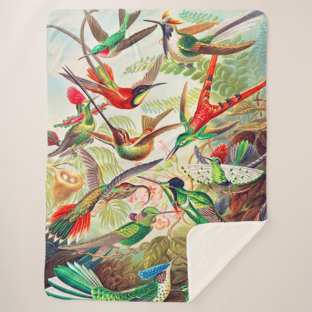 Cobertor Sherpa impressão de 1904 beija-flores (Frente)