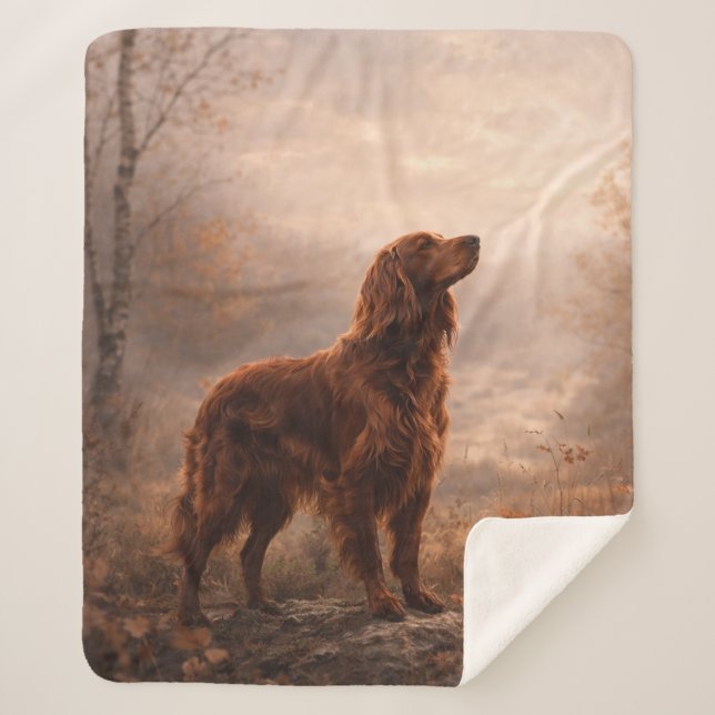 Cobertor Sherpa Irish Setter (Frente)