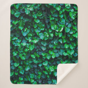 Cobertor Sherpa Jardinagem interior da selva urbana