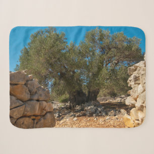 Cobertor Sherpa Jardins Olivais de Lun