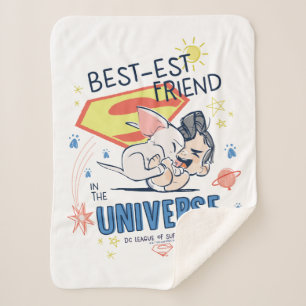 Cobertor Sherpa Krypto & Superman: Melhor Amigo do Universo