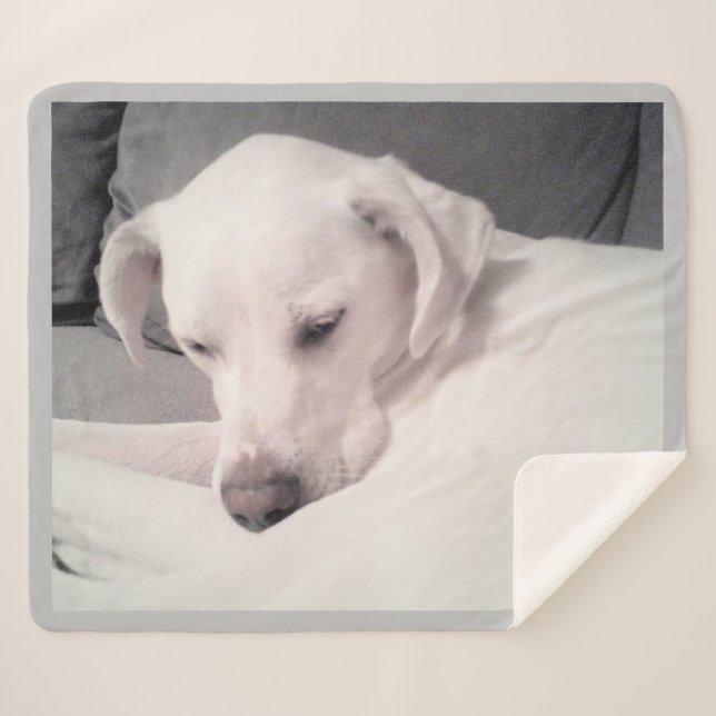 Cobertor Sherpa Labrador Branco, Bonito, Branca, Misturando Cinzas (Frente (Horizontal))