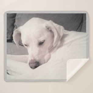 Cobertor Sherpa Labrador Branco E Bonito Mistura Cinzas De Cães