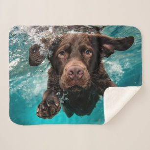 Cobertor Sherpa Labrador Chocolate Brincalhão Nadando Submerso