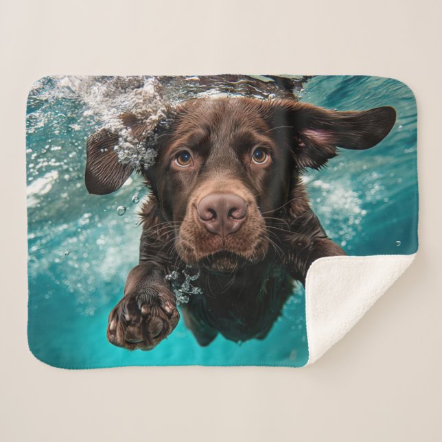 Cobertor Sherpa Labrador Chocolate Brincalhão Nadando Submerso (Frente (Horizontal))