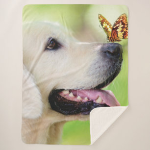 Cobertor Sherpa Labrador E Travesseiro decorativo De Borboleta