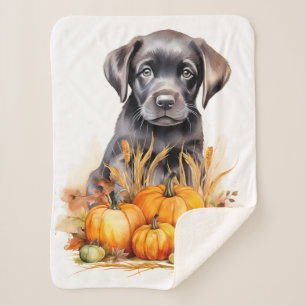 Cobertor Sherpa Labrador Retriever Puppy Autumn Pumpkins Dog Lover