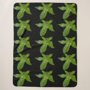 Cobertor Sherpa "Leafy Haven: Um pequeno Sapo Verde sobre Folha de