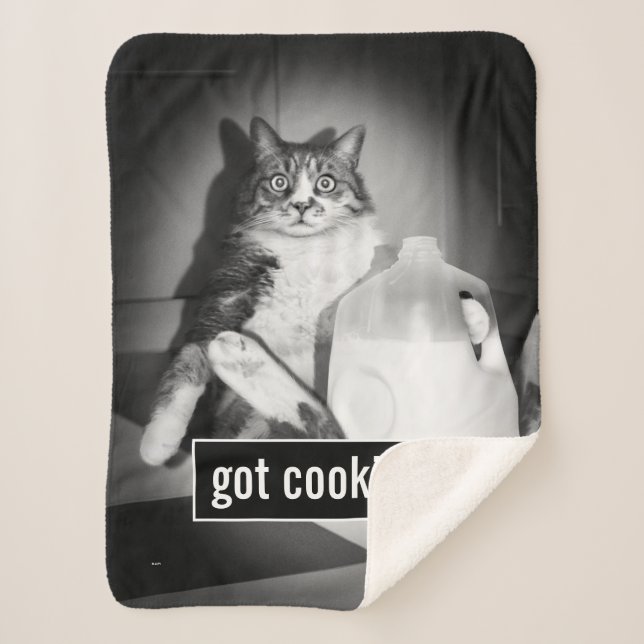 Cobertor Sherpa Leite De Bebendo De Gato De Jug (Frente)