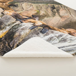 Cobertor Sherpa Leões Do Mar Deitados Nas Rochas