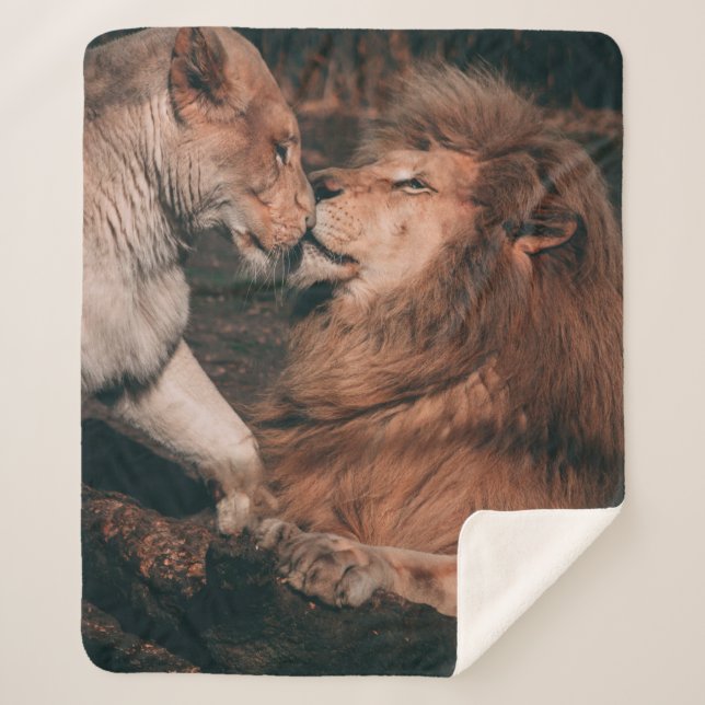 COBERTOR SHERPA LION LYING ON BROWN ROCK (Frente)