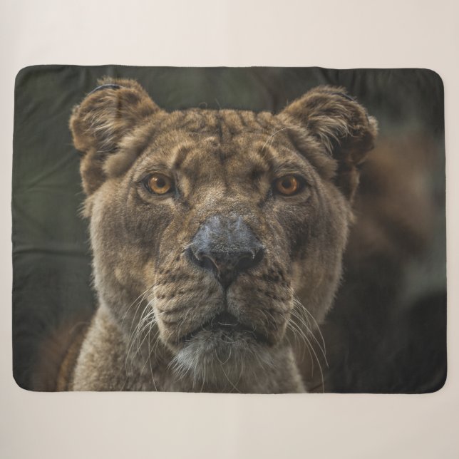 COBERTOR SHERPA LIONGIDADE (Frente (Horizontal))