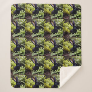 Cobertor Sherpa Lúcifer o Coelho Negro: Um Pacote Escuro de Mal