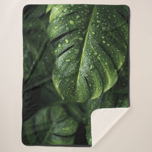 Cobertor Sherpa Lush Monstera Leaves with Morning Dew Drops