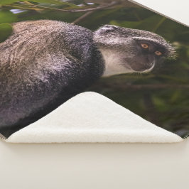 Cobertor Sherpa Macaco azul, Zanzibar