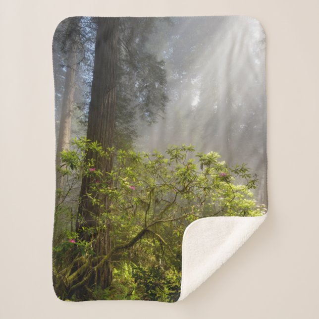 Cobertor Sherpa Manhã Mist em Rhododendron (Frente)