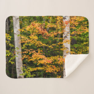 Cobertor Sherpa Maple & White Birch   Montanhas brancas, NH