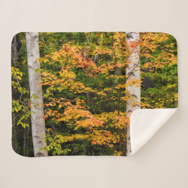 Cobertor Sherpa Maple & White Birch | Montanhas brancas, NH (Frente (Horizontal))