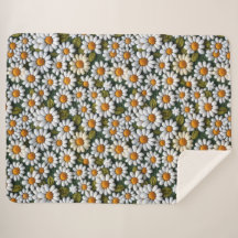 Margaridas Brancas de Crochê Flores Silvestres da 