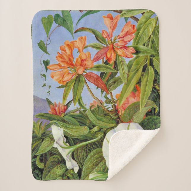 Cobertor Sherpa Marianne North - Javan Rhododendrum (Frente)