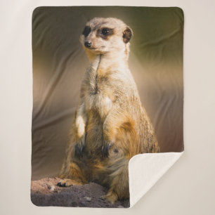 COBERTOR SHERPA MEERKAT