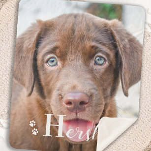 Cobertor Sherpa Melhor Cão Personalizado Pet Labrador Foto De Pupp