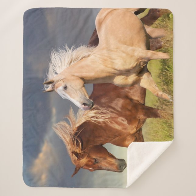 Cobertor Sherpa Melhores Amigos (Frente)