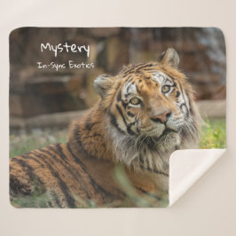 Cobertor Sherpa Mistério -