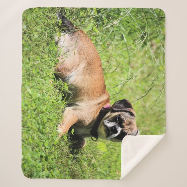 Cobertor Sherpa Molly (Frente)