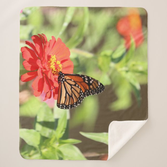 Cobertor Sherpa Monarca de outubro (Frente)