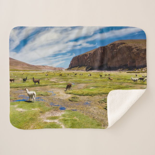 Cobertor Sherpa Montanhas | Andes bolivianos (Frente (Horizontal))