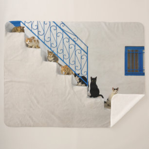 Cobertor Sherpa Muitos gatos numa escada branca numa aldeia grega