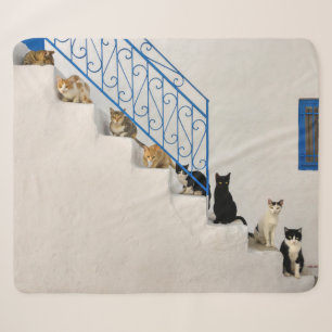 Cobertor Sherpa Muitos gatos numa escada branca numa aldeia grega