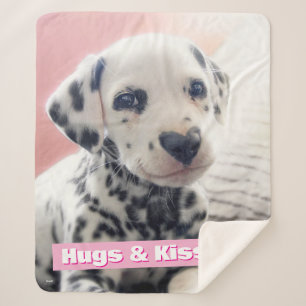 Cobertor Sherpa Nariz de Coração Dalmata