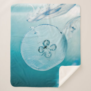 COBERTOR SHERPA O METROIDE É QUE VOCÊ