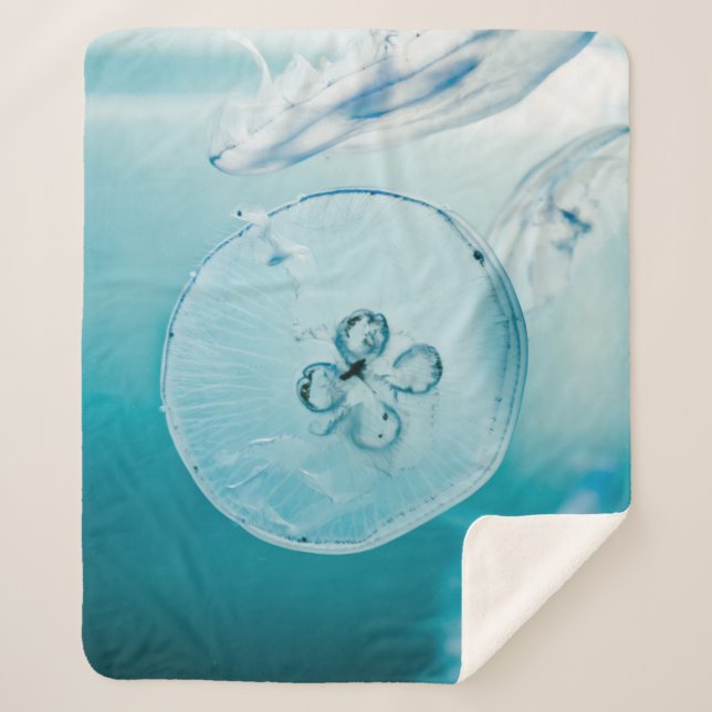 COBERTOR SHERPA O METROIDE É QUE VOCÊ (Frente)