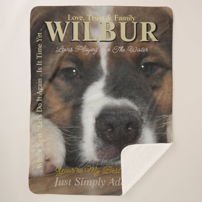 Cobertor Sherpa O Seu Pet É O Estilo Da Revista. (Frente)