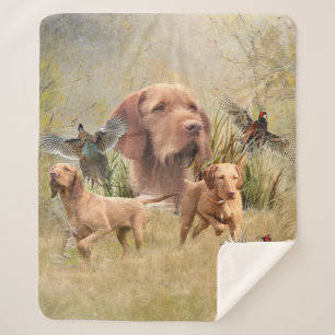 Cobertor Sherpa O Wirehaired Vizsla húngaro